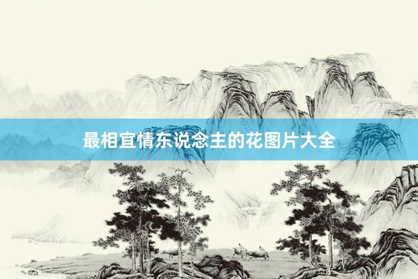 最相宜情东说念主的花图片大全