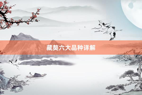 藏獒六大品种详解